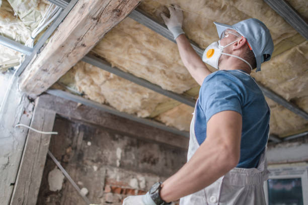 Best DIY Insulation Kits and Guidance in East Mountain, TX